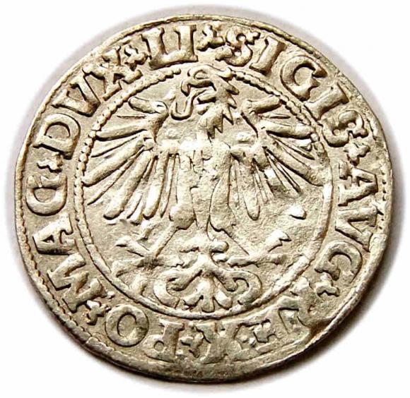 Półgrosz 1549 Zygmunt II August Wilno (2)