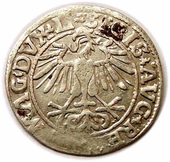 Półgrosz 1550 Zygmunt II August Wilno (2)