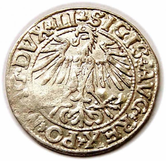 Półgrosz 1550 Zygmunt II August Wilno (2)
