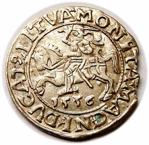 Półgrosz 1556 Zygmunt II August Wilno (1)