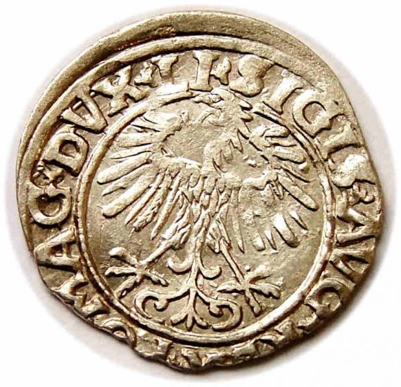 Półgrosz 1556 Zygmunt II August Wilno (2)
