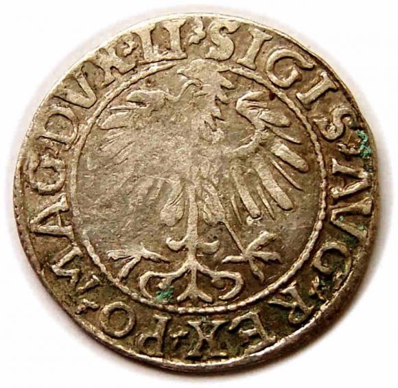 Półgrosz 1557 Zygmunt II August Wilno (2)
