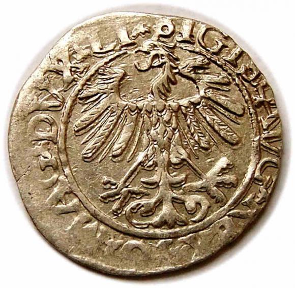 Półgrosz 1558 Zygmunt II August Wilno (2)