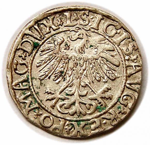 Półgrosz 1558 Zygmunt II August Wilno (2)
