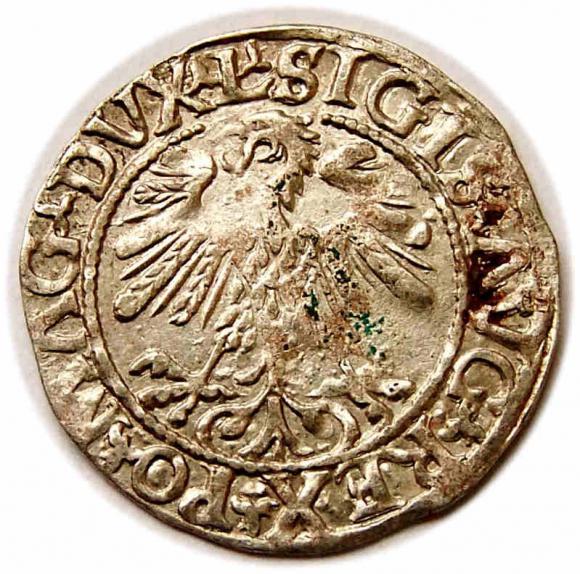 Półgrosz 1559 Zygmunt II August Wilno (2)
