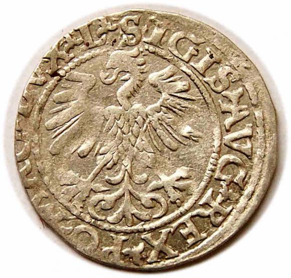 Półgrosz 1560 Zygmunt II August Wilno (2)