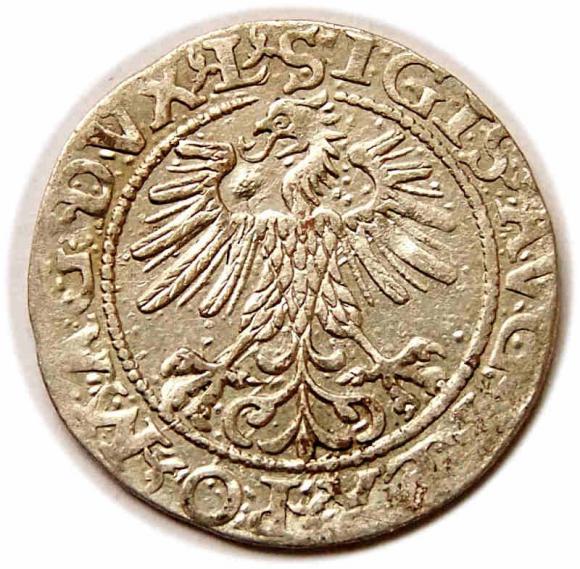 Półgrosz 1560 Zygmunt II August Wilno (2)