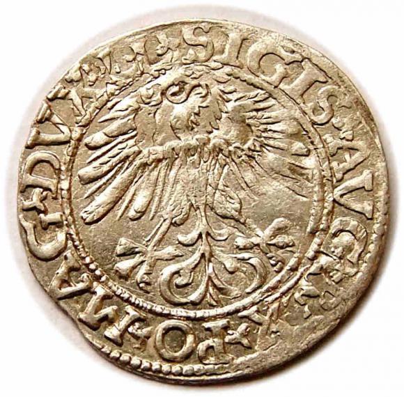 Półgrosz 1561 Zygmunt II August Wilno (2)