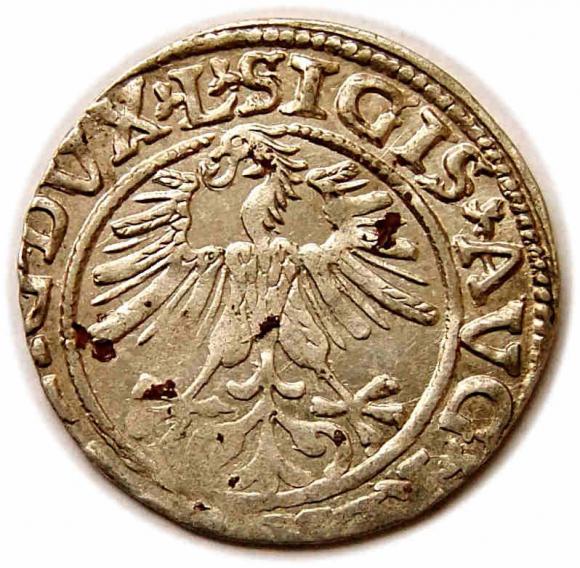 Półgrosz 1561 Zygmunt II August Wilno (2)