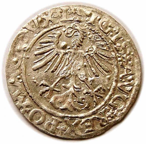 Półgrosz 1561 Zygmunt II August Wilno (2)