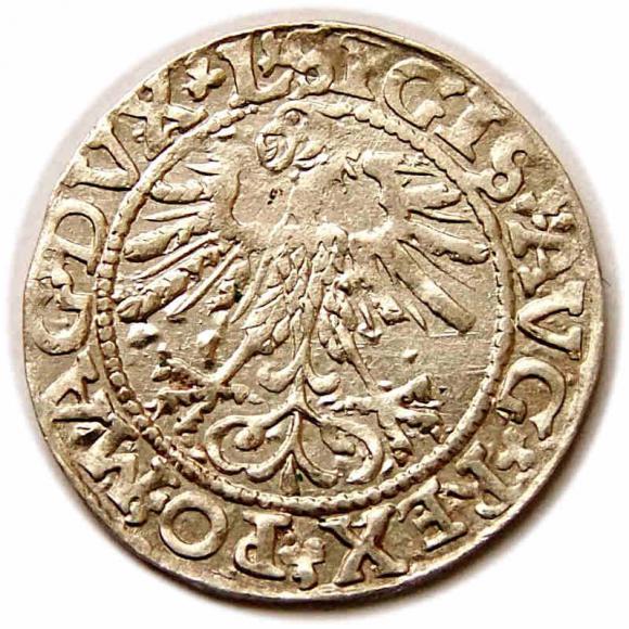 Półgrosz 1561 Zygmunt II August Wilno (2)