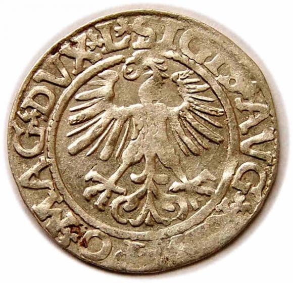 Półgrosz 1561 Zygmunt II August Wilno (2)