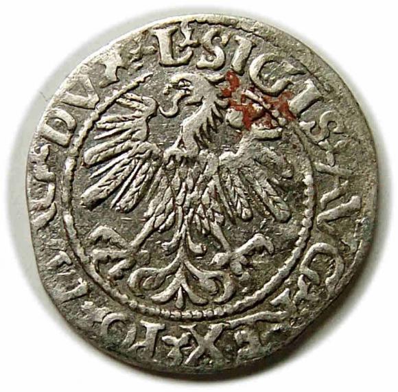 Półgrosz 1560 Zygmunt II August Wilno (2)