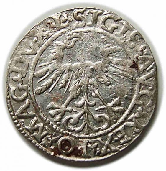 Półgrosz 1562 Zygmunt II August Wilno (2)