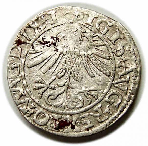 Półgrosz 1562 Zygmunt II August Wilno (2)