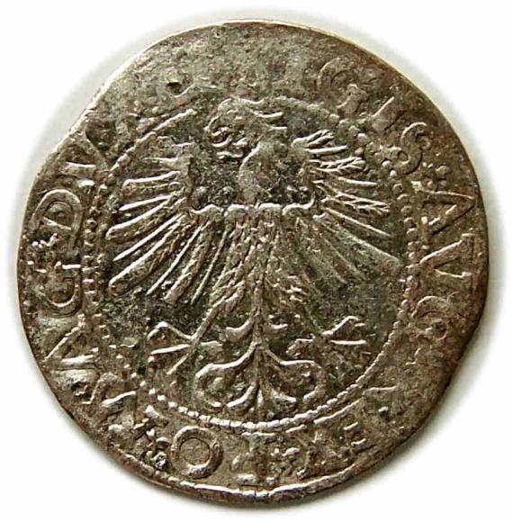 Półgrosz 1562 Zygmunt II August Wilno (2)