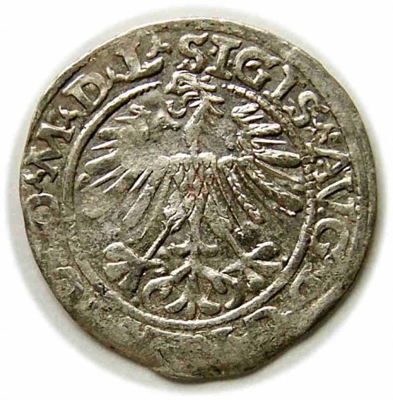 Półgrosz 1563 Zygmunt II August Wilno (2)