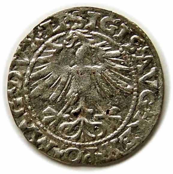 Półgrosz 1563 Zygmunt II August Wilno (2)