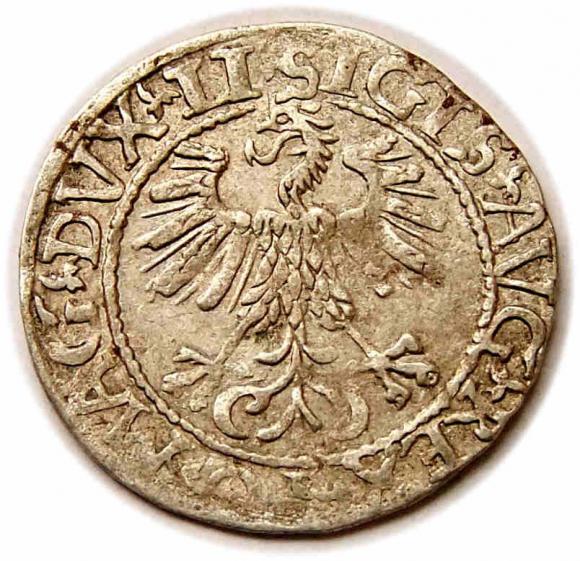 Półgrosz 1561 Zygmunt II August Wilno (2)