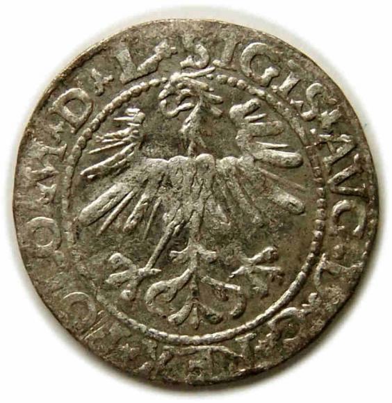 Półgrosz 1564 Zygmunt II August Wilno (2)