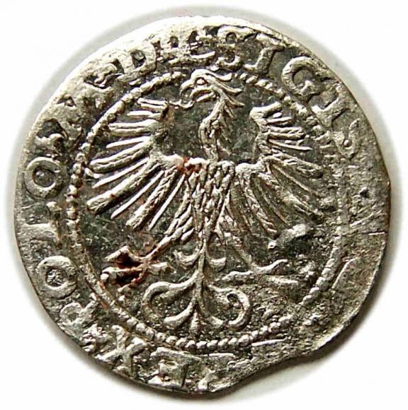 Półgrosz 1564 Zygmunt II August Wilno (2)