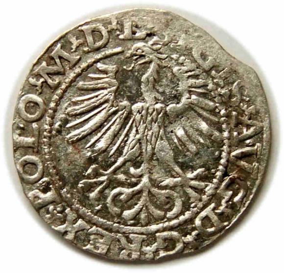 Półgrosz 1564 Zygmunt II August Wilno (2)