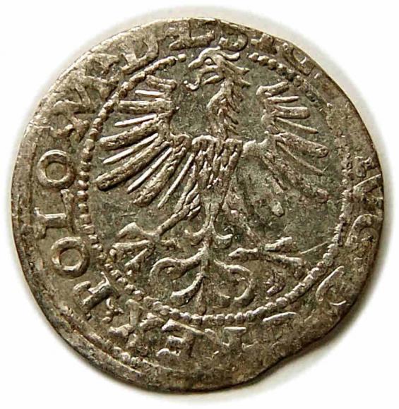 Półgrosz 1564 Zygmunt II August Wilno (2)