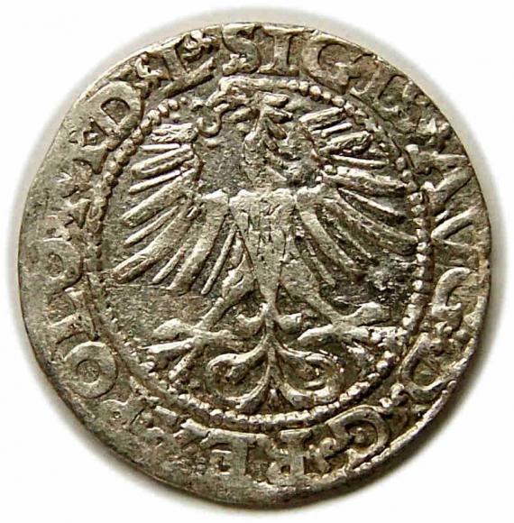Półgrosz 1564 Zygmunt II August Wilno (2)