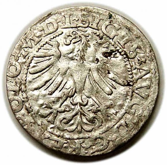 Półgrosz 1565 Zygmunt II August Wilno (2)