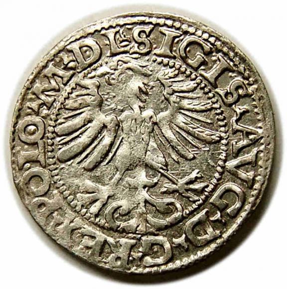 Półgrosz 1565 Zygmunt II August Wilno (2)