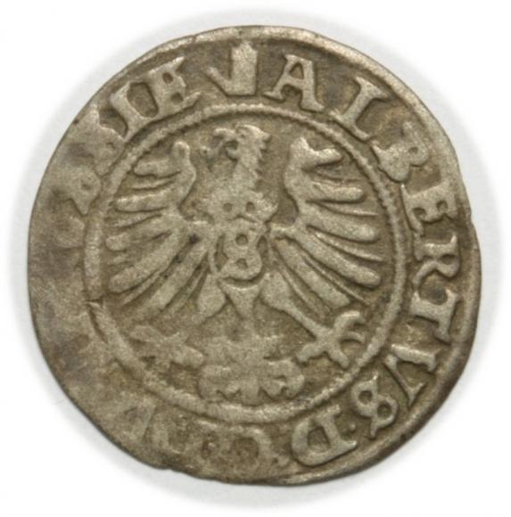 Szeląg 1557 Albrecht Hohenzollern Księstwo Pruskie Królewiec (2)