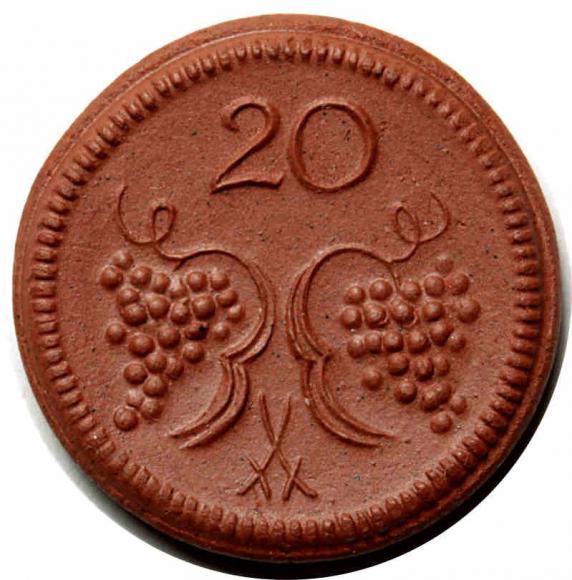 20 fenigów 1921 Ziębice / Munsterberg (1)