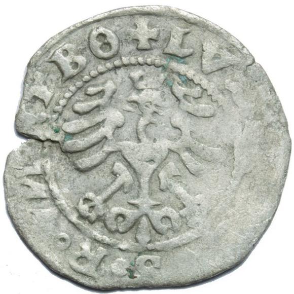Półgrosz 1526 Ludwik I Jagiellończyk Świdnica (2)