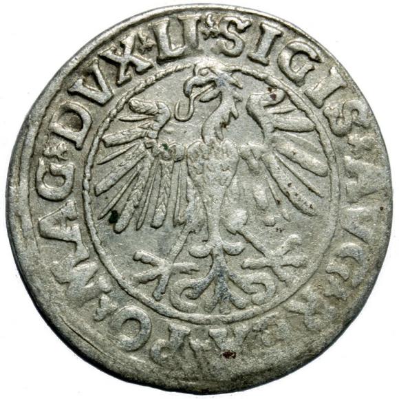 Półgrosz 1547 Zygmunt II August Wilno (2)
