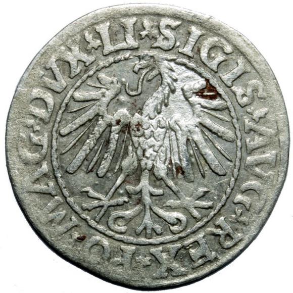 Półgrosz 1547 Zygmunt II August Wilno (2)
