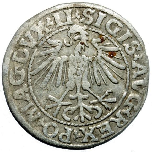 Półgrosz 1549 Zygmunt II August Wilno (2)