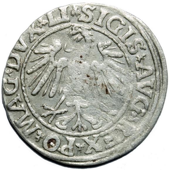 Półgrosz 1547 Zygmunt II August Wilno (2)