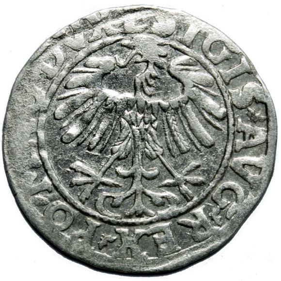 Półgrosz 1557 Zygmunt II August Wilno (2)