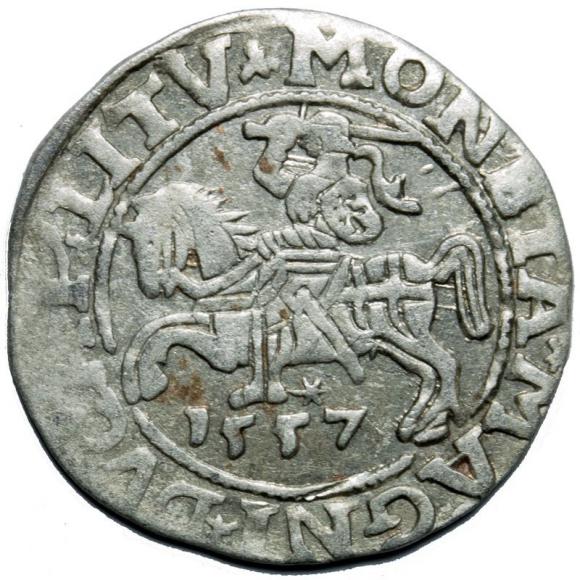 Półgrosz 1557 Zygmunt II August Wilno (1)