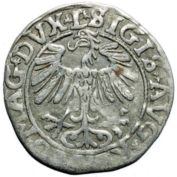 Półgrosz 1557 Zygmunt II August Wilno (2)