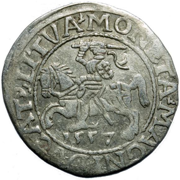 Półgrosz 1557 Zygmunt II August Wilno (1)