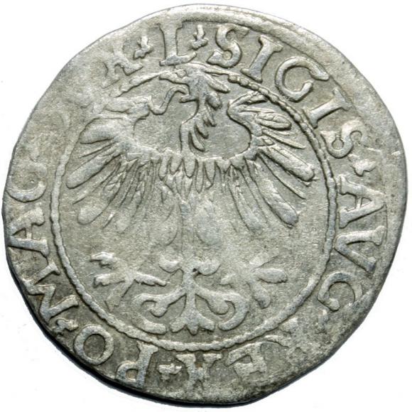 Półgrosz 1557 Zygmunt II August Wilno (2)