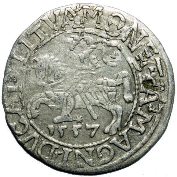 Półgrosz 1557 Zygmunt II August Wilno (1)