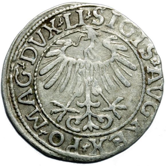 Półgrosz 1557 Zygmunt II August Wilno (2)