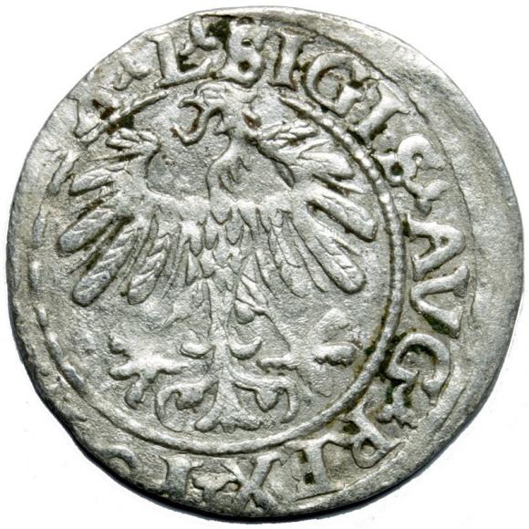 Półgrosz 1559 Zygmunt II August Wilno (2)