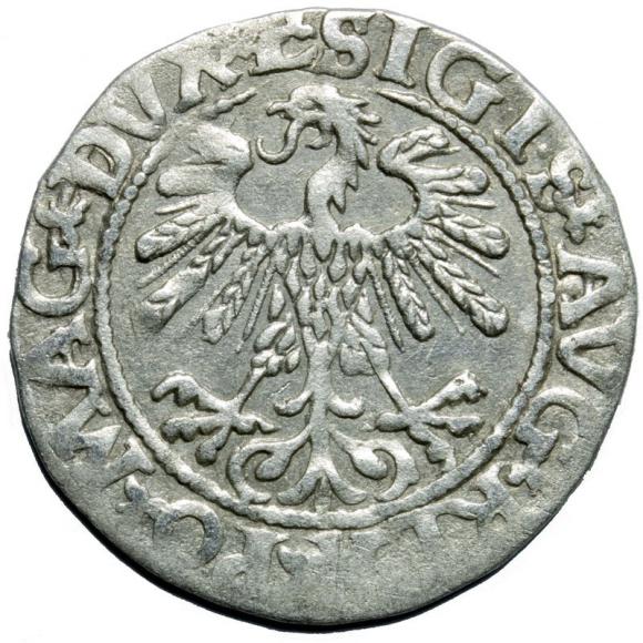 Półgrosz 1559 Zygmunt II August Wilno (2)