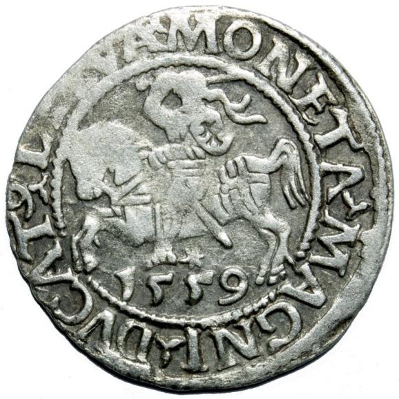 Półgrosz 1559 Zygmunt II August Wilno (1)