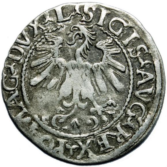 Półgrosz 1559 Zygmunt II August Wilno (2)