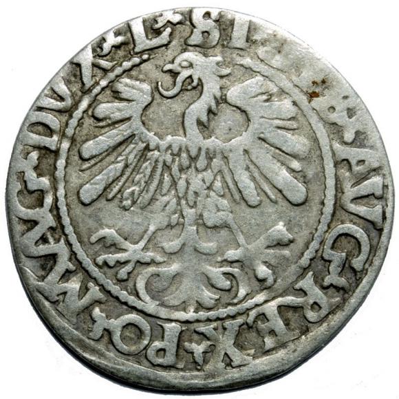 Półgrosz 1559 Zygmunt II August Wilno (2)