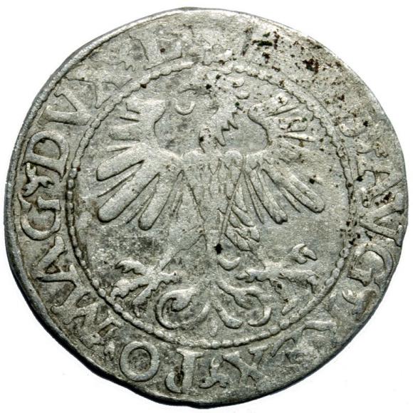 Półgrosz 1560 Zygmunt II August Wilno (2)